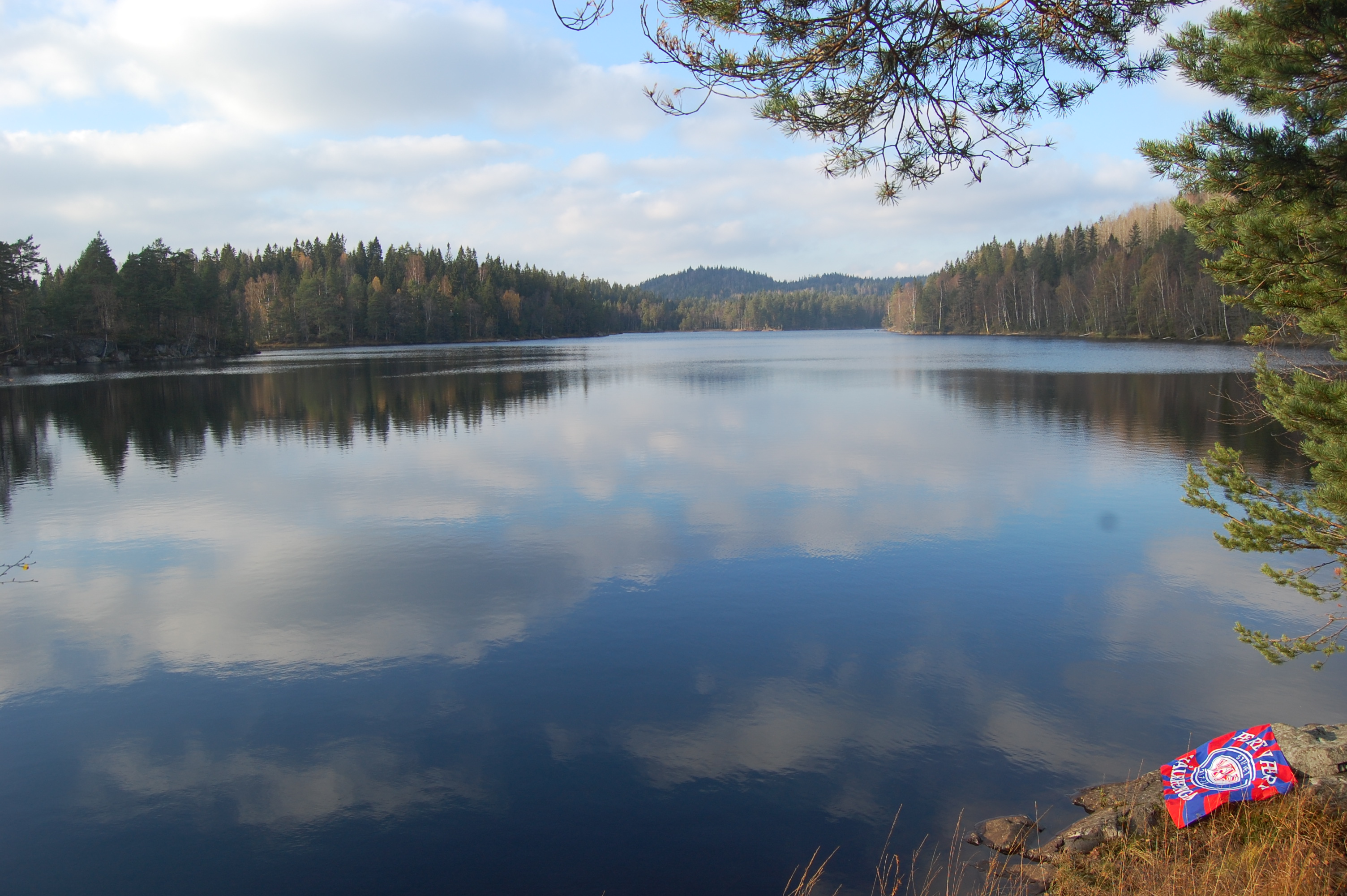 Her skal hytta ligge! Vif-tomta ved Tonevann